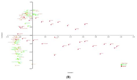 Comparative Analysis of Grapevine Epiphytic Microbiomes among Different ...