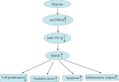 Grapharical Abstract Review 的图像结果