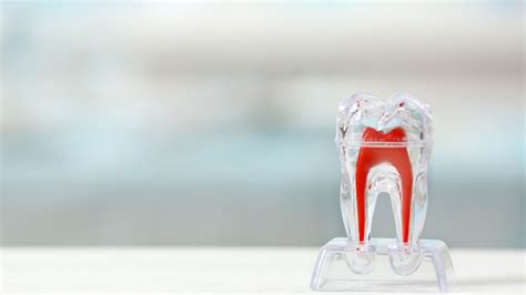 Does Periodontal Disease Go Away?