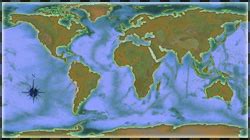 Apara International - Leading Exporters & Importers- Herbal Bidis ...