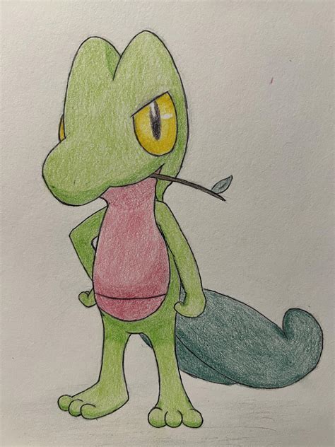 Image result for Treecko Drawing