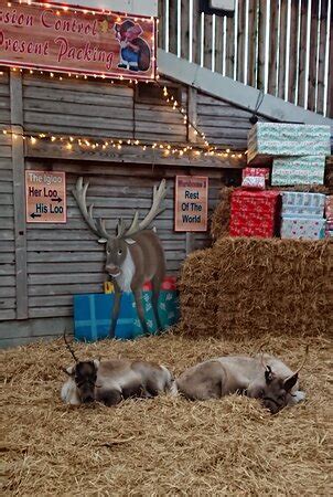 Farmer Teds Adventure Farm (Ormskirk) - 2021 What to Know Before You Go ...