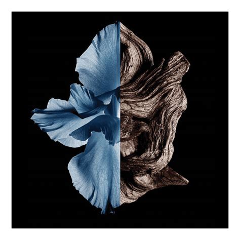 Gentleman Eau De Toilette Intense • 60ml