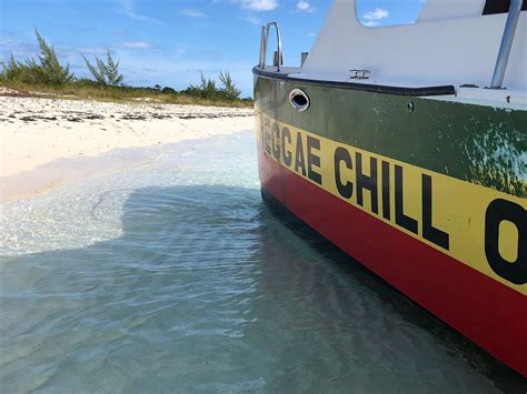 BLUE WHALE TOURS & EXCURSIONS (2026) All You Need to Know BEFORE You Go ...