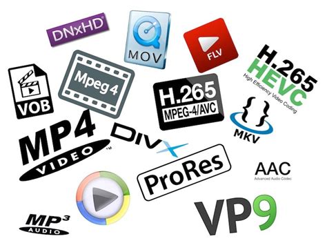 Image result for Codecs File Extensions