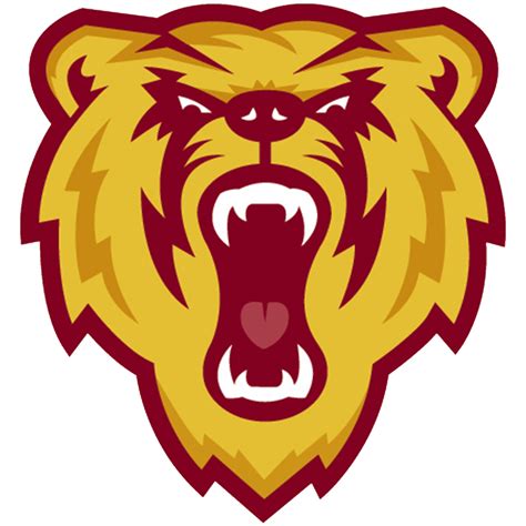 Barron Golden Bears Softball (Barron, WI) - High School On SI