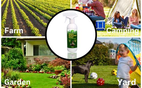 Snake Repellent Liquid 5 Litres for Indoor and Outdoor Most Powerfull ...