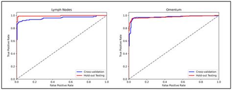 Multiple Instance Learning for the Detection of Lymph Node and Omental ...