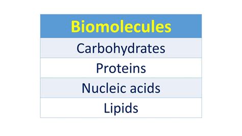 Image result for Biomolecules Explained