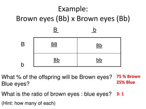 PPT - Predicting Inheritance using Punnett Squares PowerPoint ...