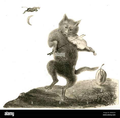 Nursery rhyme, Hey Diddle Diddle, the Cat and the Fiddle, the Cow ...