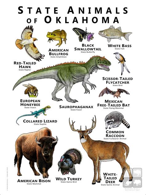 Animals of Japan Poster Print