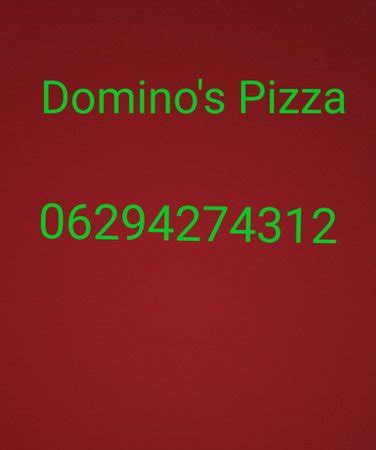 DOMINO'S PIZZA, Bengaluru - 98 G2 G3 & G4 Skylark Palazzo Building Old ...