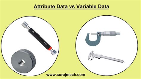 Image result for Variable vs Attribute Data