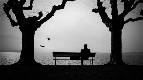 Wallpaper loneliness, lonely, bench, silhouette hd, picture, image