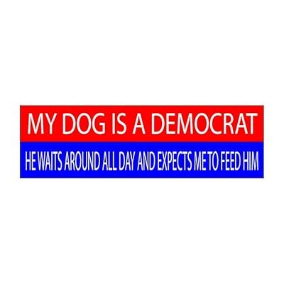 10x3 Patriotic Bumper Sticker Auto Decal India | Ubuy