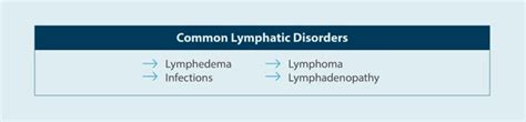 Image result for Lymphatic System Disorders