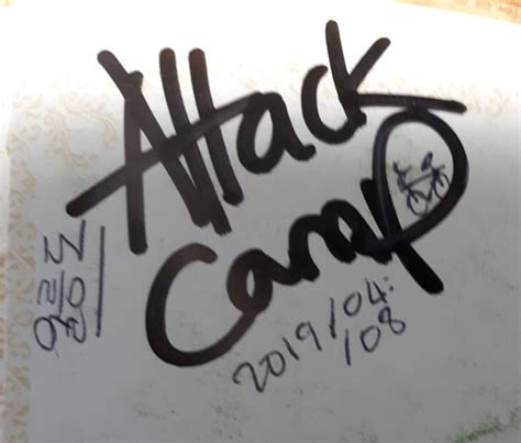 ATTACK CAMP GUESTHOUSE (Ulleung-gun) - Hostel Reviews & Photos ...