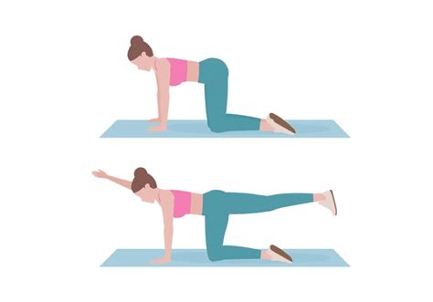 Image result for Spinal Health Exercises