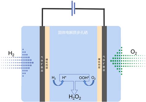 H2O2 Reactor 的图像结果