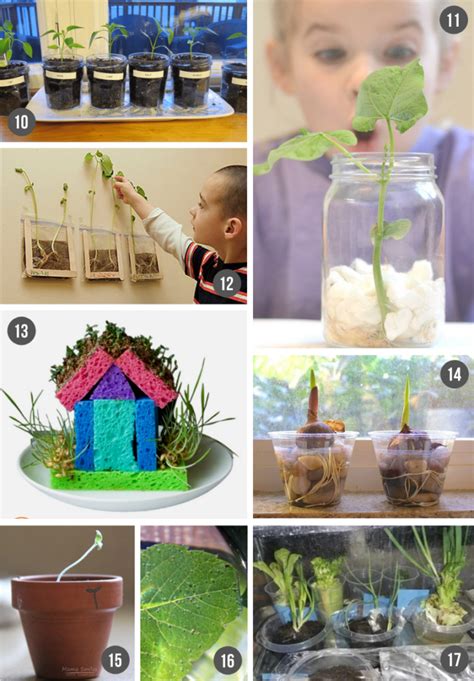 Image result for Easy Science Lesson