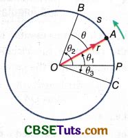 Image result for Angular Displacement Vector