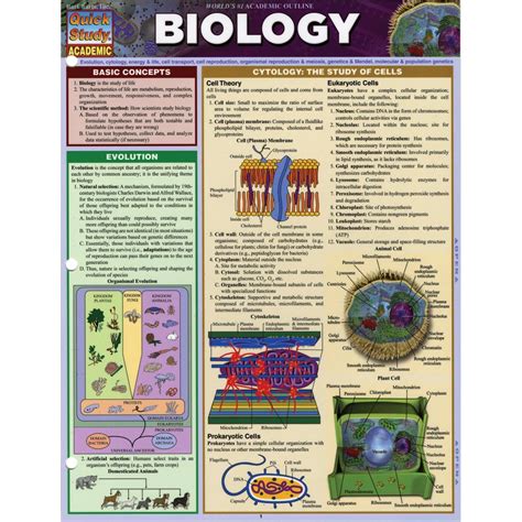 Image result for Bio Study Chart