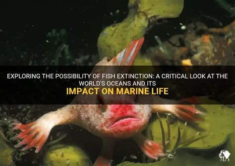 Image result for Extinct Fish