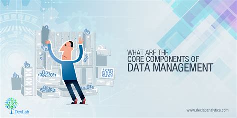 Image result for Data Management Components