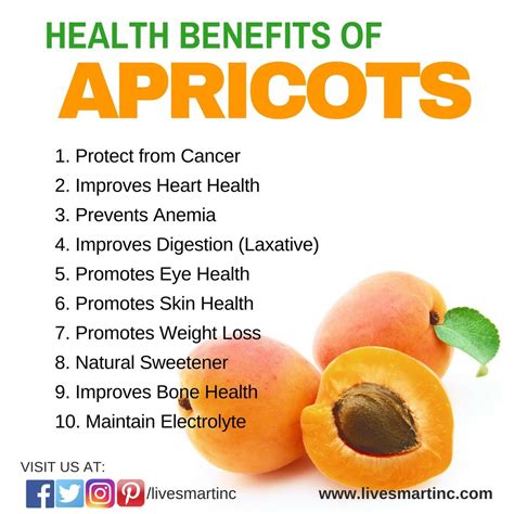 22 Science-Backed Health Benefits of Eating Apricot - How To Ripe