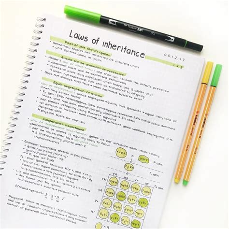 Image result for Pretty Study Notes