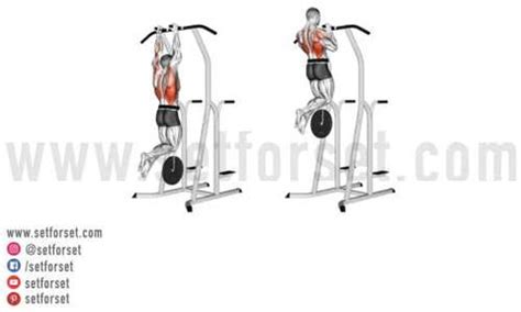 Image result for Pull Up Variations