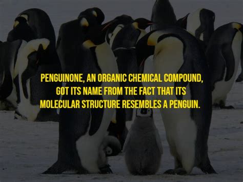 Image result for Random Easy Facts