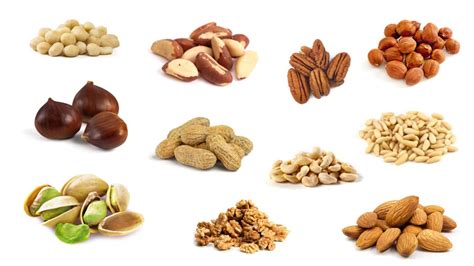 English Vocabulary - NUTS - YouTube