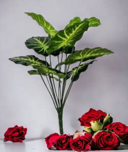 NLIN NLIN ARTIFICIAL GRENN BALL PLANT Bonsai Wild Artificial Plant ...