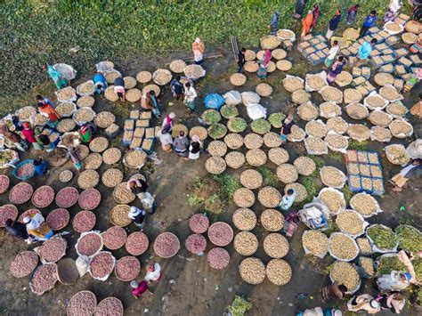 Local Market HD Images 的图像结果