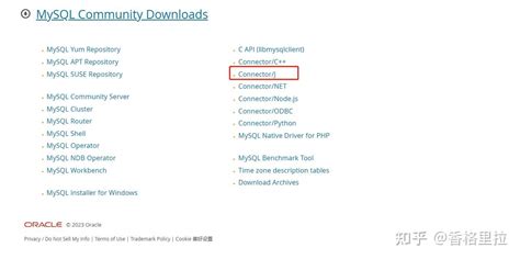 Java JDBC MySQL 的图像结果