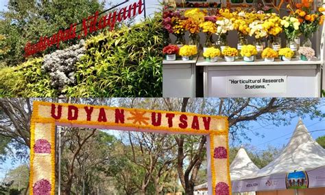 Udyan Utsav kicks off at Rashtrapati Nilayam: Explore floral displays ...