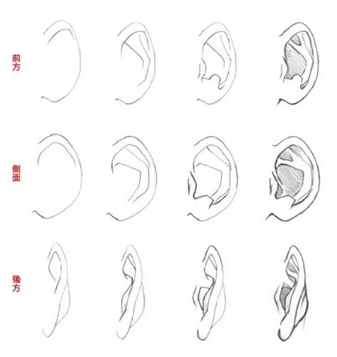 用3画耳朵怎么画,耳朵简笔画,大象的耳朵(第4页)_大山谷图库