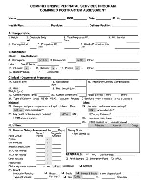 Postpartum Assessment Form - Fill Out, Sign & Share Online | pdfFiller