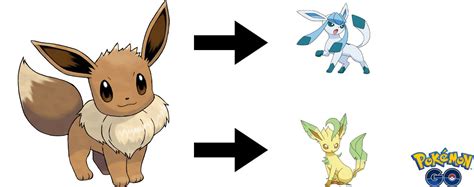 Image result for Pokemon Randomizer Sun