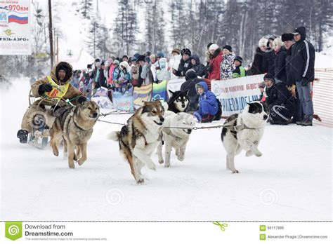 Kamchatka Dog Breeding: Indigenous Sled Dog Traditions of Far East