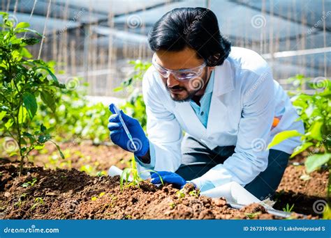 Agro Scientist at Laboratory Adding Chemical To Small Lab Grown Plant - Concept of Research ...