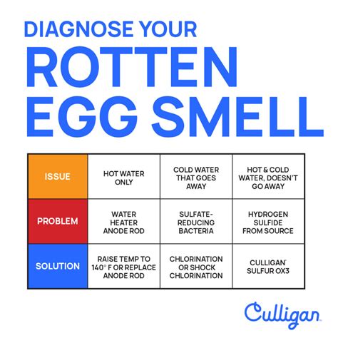 Sulfur - Rotten Egg Smell in Tap Water | Culligan Tampa Bay