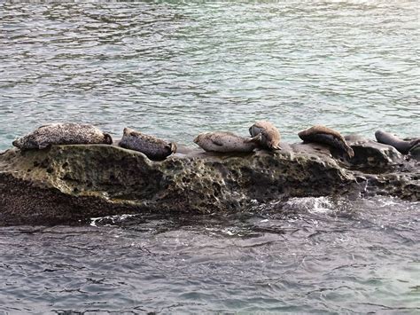 Story Time with Deborah Saracini!, Barnes and Noble, Encinitas 1040 N ...