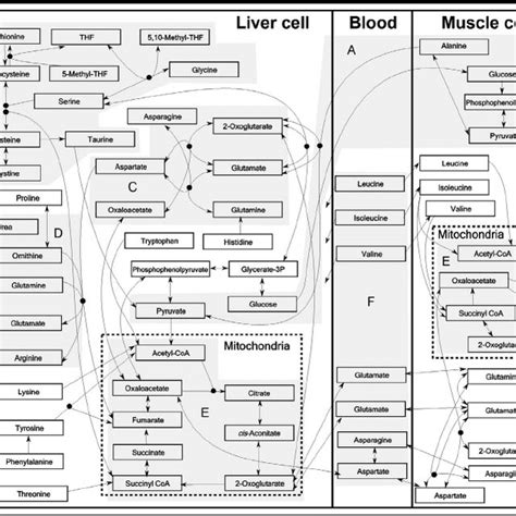 Energy Human 的图像结果