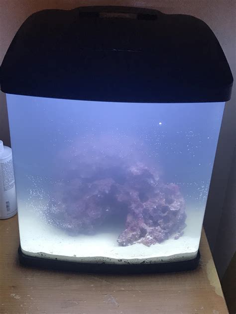 Image result for Biocube Maintenance Tips