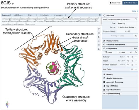 Quaternary Structure Of Proteins