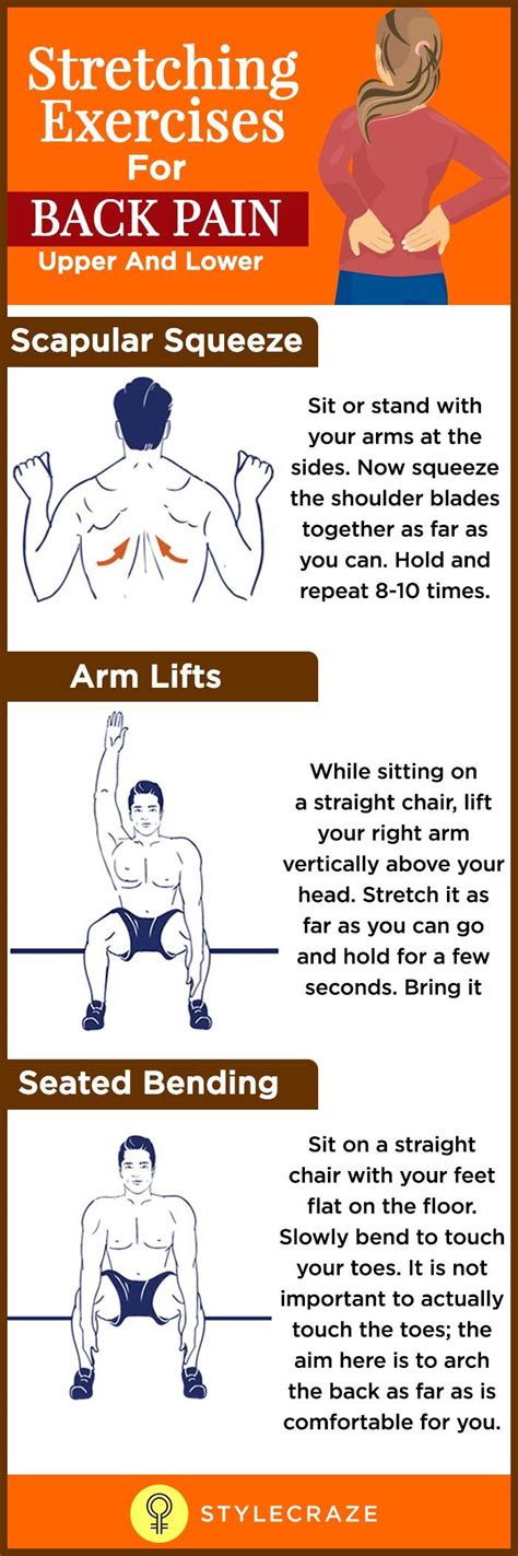 Image result for Bad Back Stretching Exercises