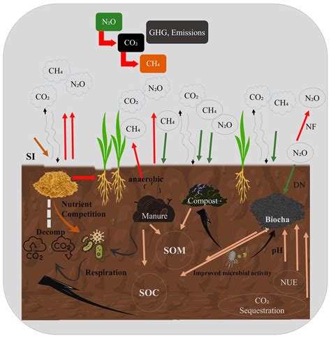 Toward Low-Emission Agriculture: Synergistic Contribution of Inorganic ...